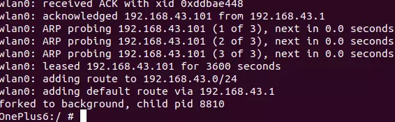 dhcpcd 配置 IP 地址图