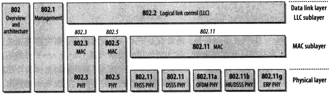 IEEE 802 家族图